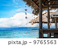 tropical holiday 9765563