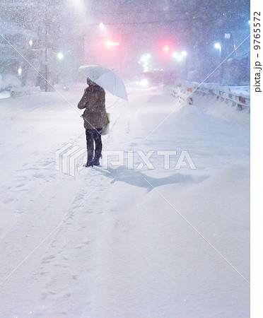 平成26年豪雪 9765572