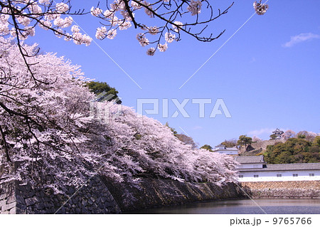 内掘から見る彦根城天守閣 9765766