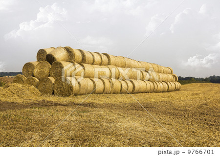 Haystack on the field 9766701