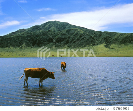 阿蘇草千里 9766905