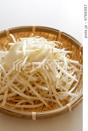 もやし 9766997