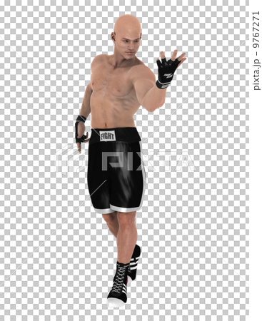Fighter Fighter 9767271