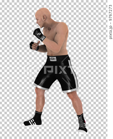 Fighter Fighter 9767273
