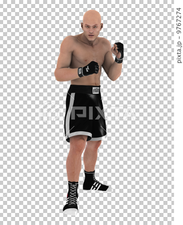 Fighter Fighter 9767274