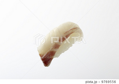 真鯛 9769556