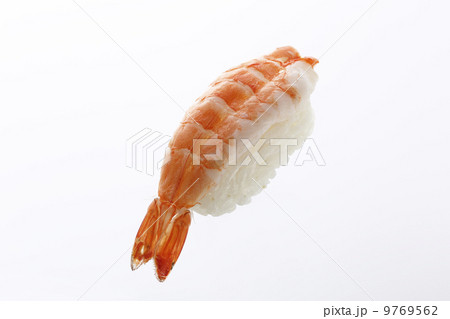 海老 9769562