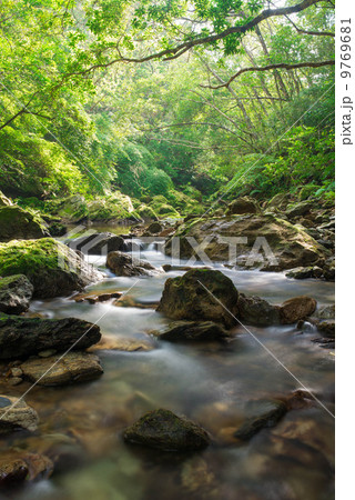 やんばるの清流（比地川） 9769681