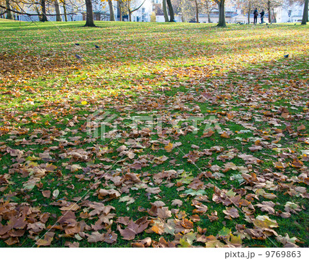 Fall autumn season in the forest Fall autumn season in the forest 9769863