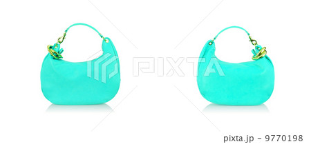 Elegant woman bag isolated on white 9770198