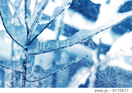 雪の日 9770677