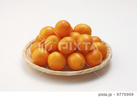 金柑 金柑 9770909