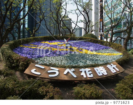 神戸市役所横の花時計 9771623