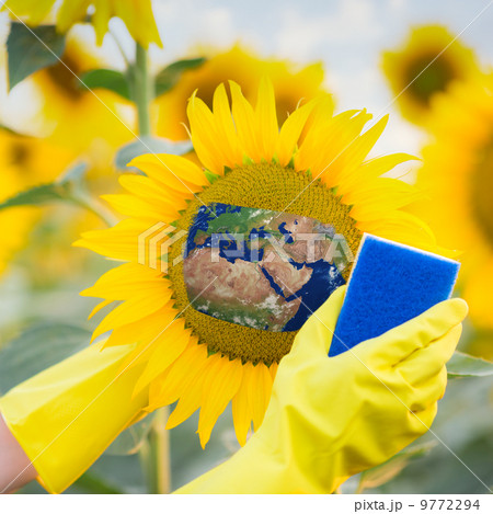 Clean up the environment 9772294