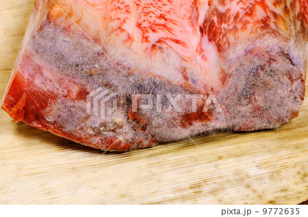 熟成肉(ドライエイジング) 熟成肉(ドライエイジング) 9772635
