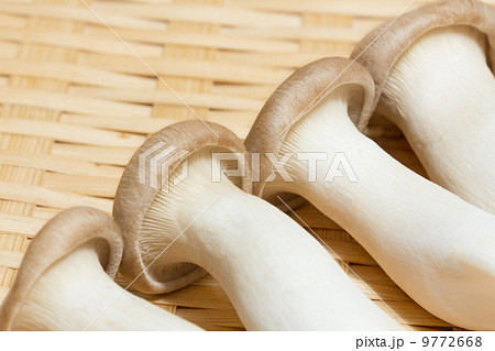 ざるに盛ったえりんぎ 9772668