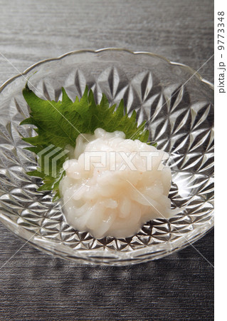 白海老 9773348