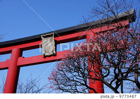 2月日本の地域・関東116亀戸天神 9773487