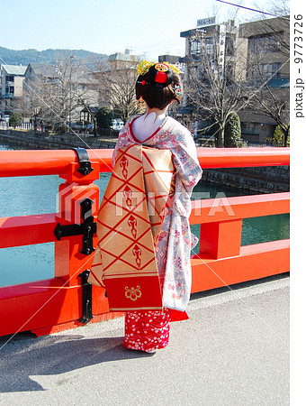 舞妓 9773726