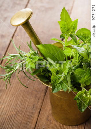 Fresh herbs 9774271