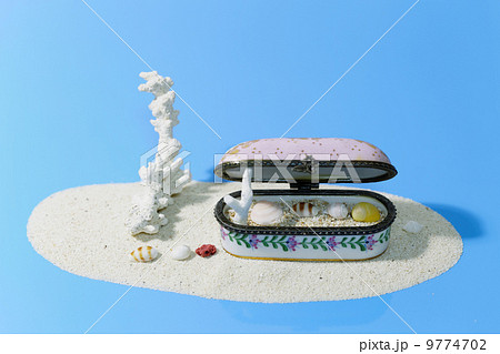 砂浜のジュエリーボックスに貝殻 9774702