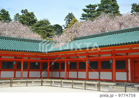 京都 平安神宮の春 京都 平安神宮の春 9774758