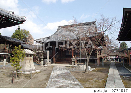 妙顕寺・境内（京都） 9774817