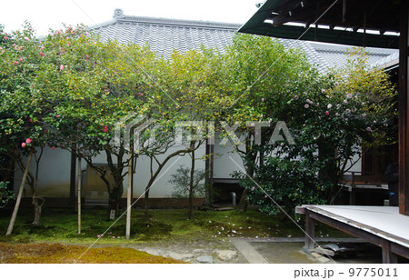 京都 霊鑑寺 京都 霊鑑寺 9775011