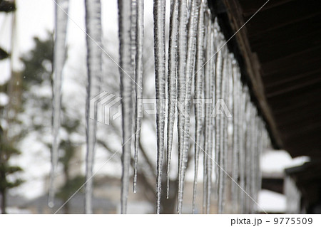 軒下のつらら 9775509