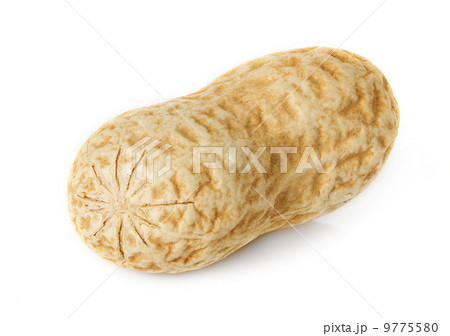 peanut peanut 9775580