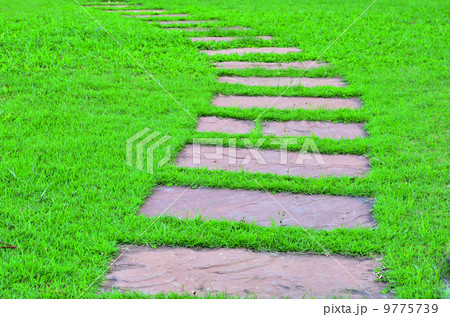 Stone path 9775739