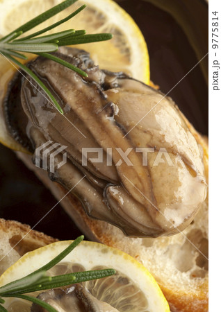 牡蠣のオイル漬け 牡蠣のオイル漬け 9775814