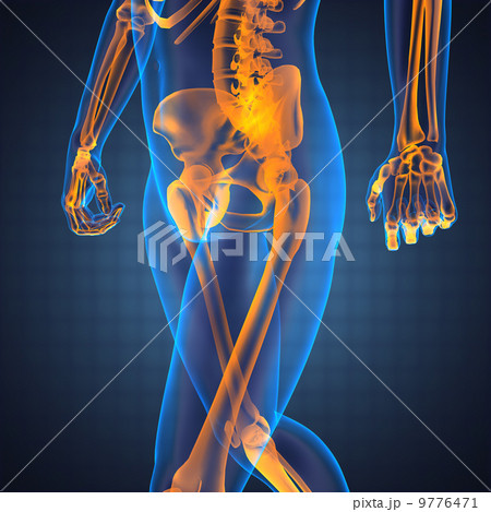 human radiography scan 9776471