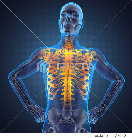 human radiography scan human radiography scan 9776489