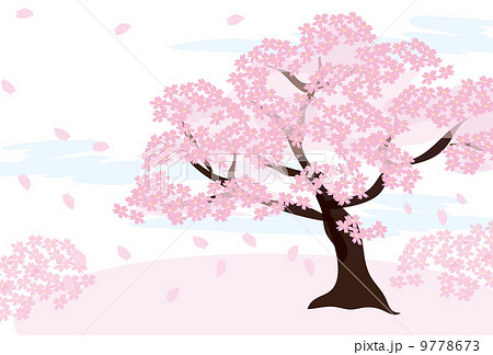桜の木のイラストのイラスト素材