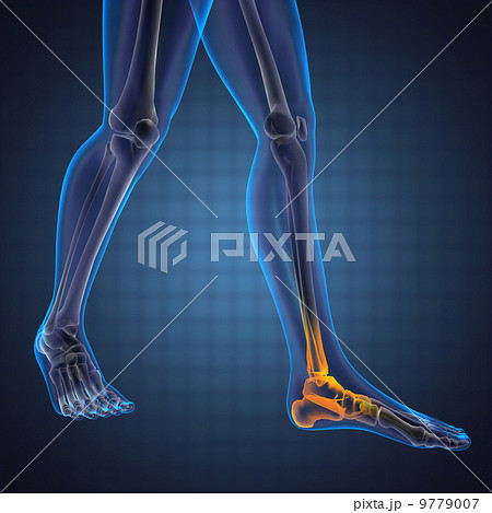 human radiography scan 9779007