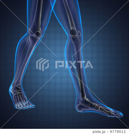 human radiography scan 9779013