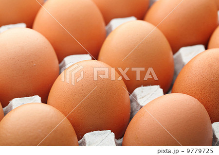 Egg in package Egg in package 9779725