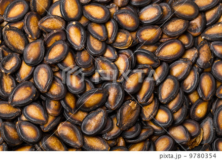 Black melon seed background 9780354