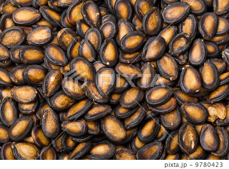 Dried Black Melon Seeds 9780423