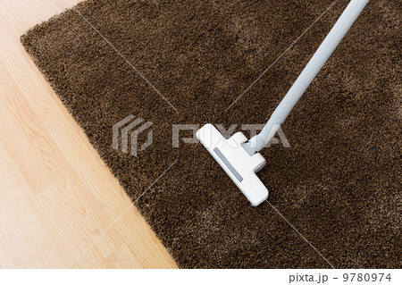 Head of modern vacuum cleaner on carpet 9780974