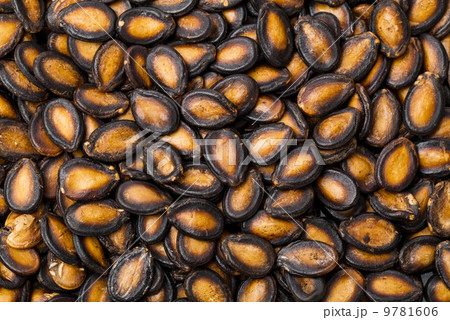 Black melon seed Black melon seed 9781606