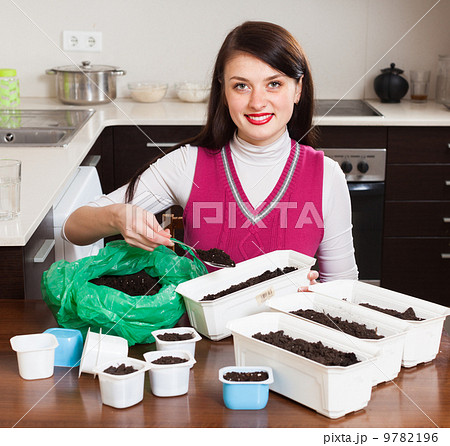 woman making ground in pots for seedlings woman making ground in pots for seedlings 9782196