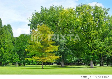 summer park with beautiful green lawns summer park with beautiful green lawns 9783302