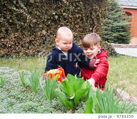 The brothers in the yard 9783350