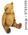 Poor old Taddy bear 9783499