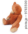 Poor old Taddy bear 9783500