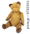Poor old Taddy bear 9783501