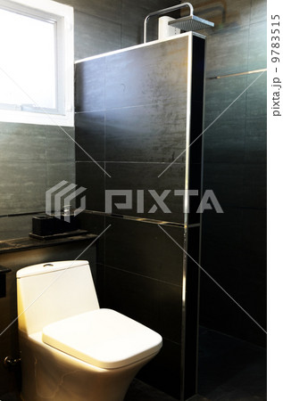Modern bathroom in black and white color Modern bathroom in black and white color 9783515