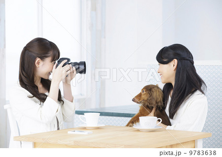 ペットイメージ 9783638